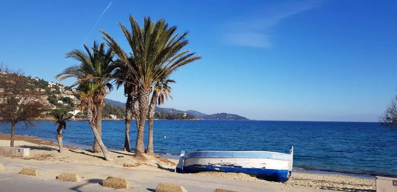 Studio Avec Terrasse 2 Personnes Le Lavandou