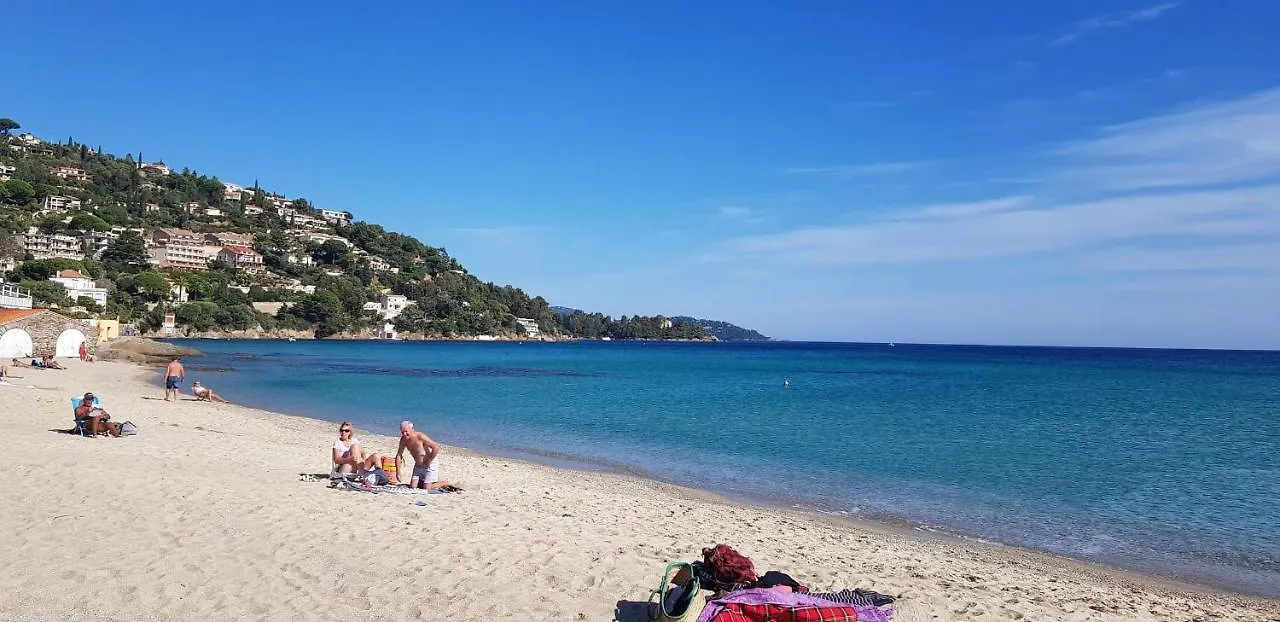 Studio Avec Terrasse 2 Personnes Le Lavandou