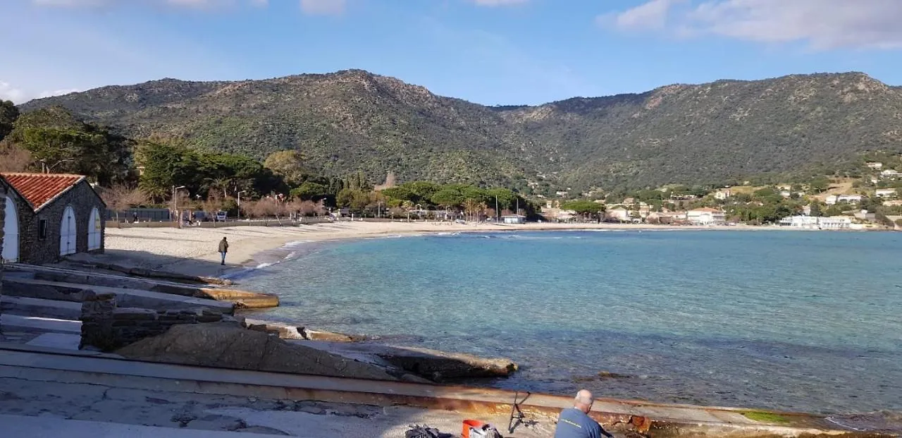 Studio Avec Terrasse 2 Personnes Le Lavandou Apartment